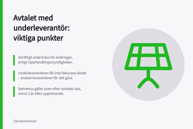 rödräv, vulpes vulpes, djur, natur, däggdjur, rovdjur, vilda djur och växter, djur i det vilda, hund, räv, utomhus, sällskapsdjur, skog, pawed däggdjur, djur jakt, varg, vilda hund, ett djur, päls, vildmarksområdet, söt, tittar, gräs, skönheten i naturen, vakenhet. Vad bör ingå i ett avtal om underleverantörer?